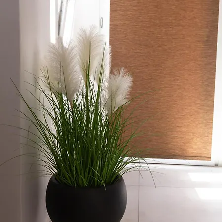 Izabela Santorini Hotel 5*